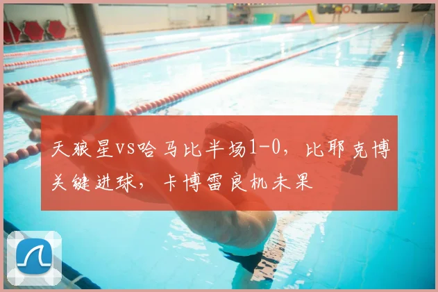 天狼星vs哈马比半场1-0,比耶克博关键进球,卡博雷良机未果