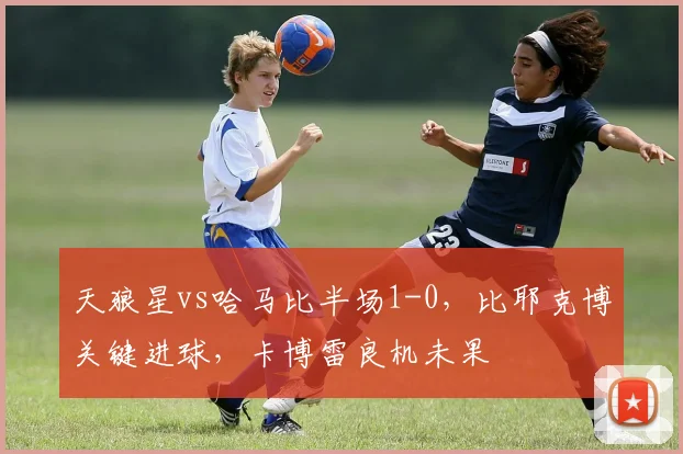 天狼星vs哈马比半场1-0,比耶克博关键进球,卡博雷良机未果
